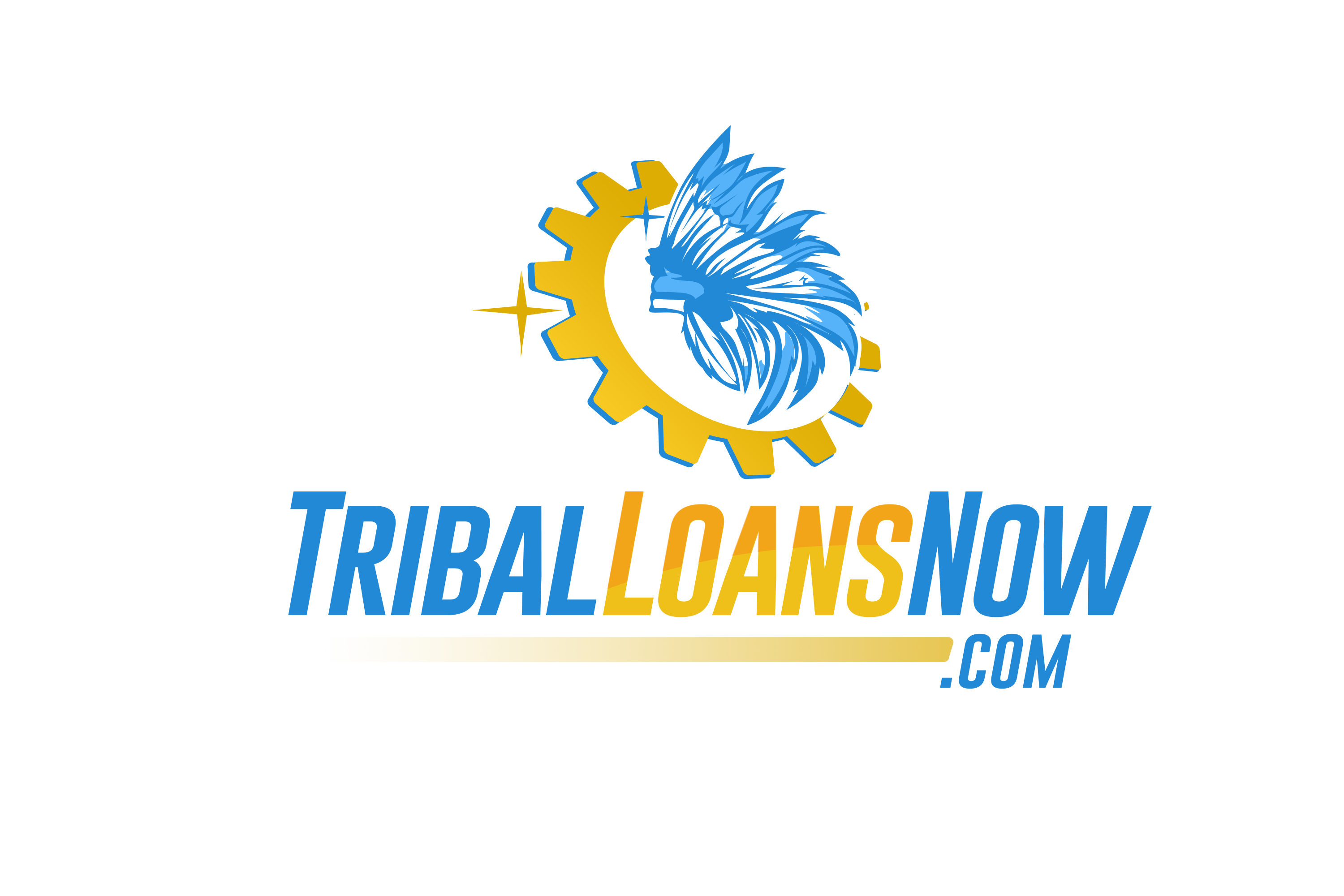 Cash Crunch?  Tribal Payday Loans:  Risky Business or Lifeline?